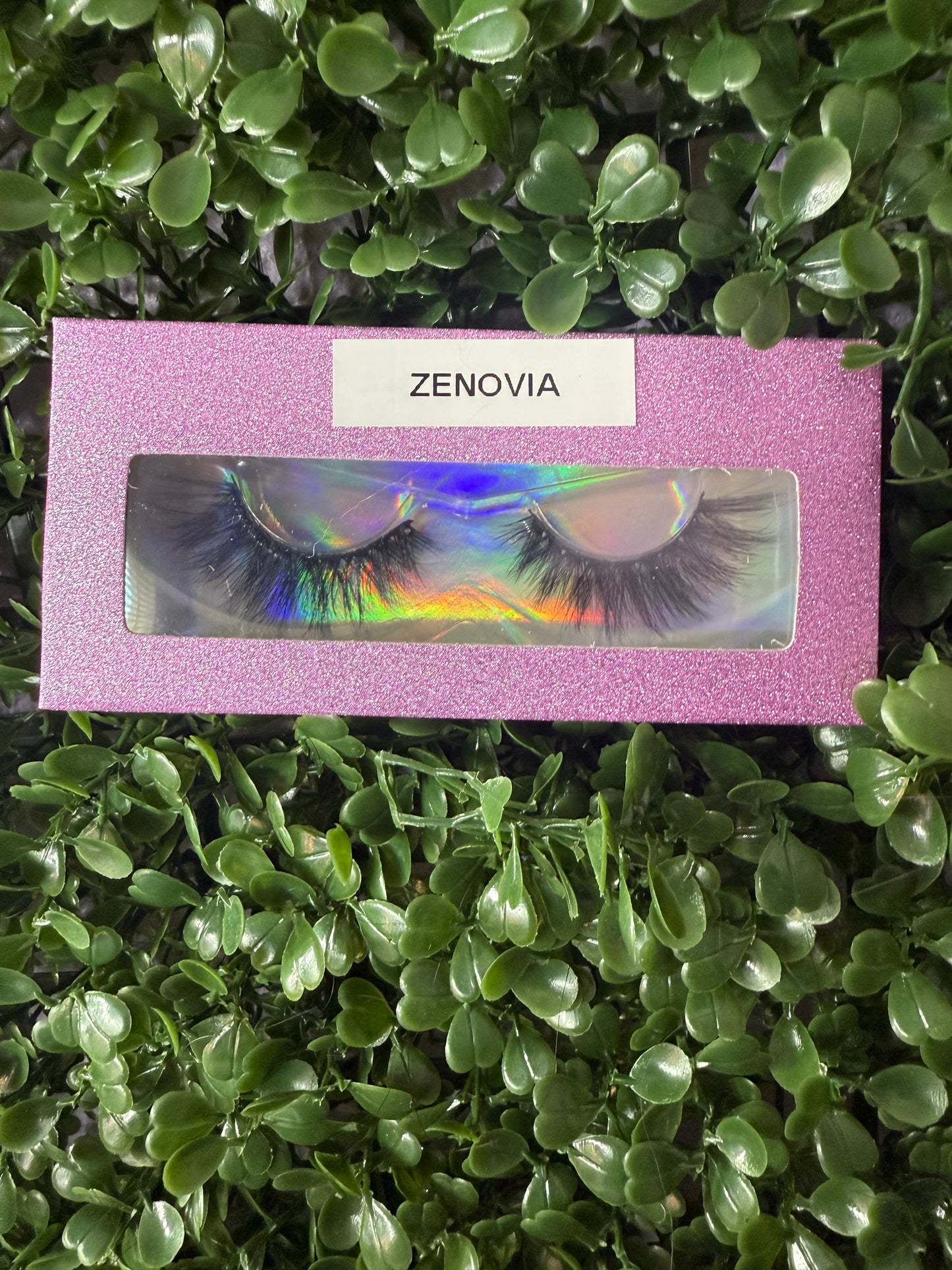 Zenovia